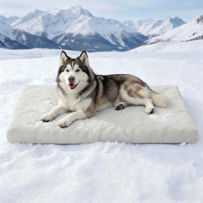 🐾 LIMITED-TIME 50% OFF! ❄️ Instant Cooling Pet Mat – Scratch-Resistant, Non-Toxic, Easy Clean 🐶