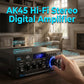 🎤 LIMITED-TIME 60% OFF! 💥 Digital Amplifier for Karaoke and Music – Bluetooth, Dual Mic, EQ Controls ✨