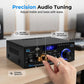 🎤 LIMITED-TIME 60% OFF! 💥 Digital Amplifier for Karaoke and Music – Bluetooth, Dual Mic, EQ Controls ✨