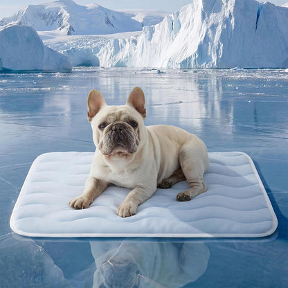 🐾 LIMITED-TIME 50% OFF! 💥 Breathable Washable Pet Cooling Mat – Continuous Airflow, Joint Relief, Versatile ✨