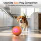 🎉 2026 Sale — Over 10,000 Sold! 🐕 Smart Auto-Bouncing Pet Ball – 3 Interactive Modes 🎾