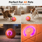 🎉 2026 Sale — Over 10,000 Sold! 🐕 Smart Auto-Bouncing Pet Ball – 3 Interactive Modes 🎾