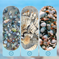 🐚 49% OFF NOW! ✨ Seashell Display Case with Acrylic Panel – Transparent & dustproof – Perfect for collections, crafts or souvenirs – elegant tabletop or shelf display 🏖️🌟