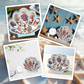 🐚 49% OFF NOW! ✨ Seashell Display Case with Acrylic Panel – Transparent & dustproof – Perfect for collections, crafts or souvenirs – elegant tabletop or shelf display 🏖️🌟