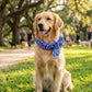 🐾 BUY 1 GET 2 FREE! ❄️ Summer Pet Cooling Collar Wrap – Physical Cooling, Reusable, Adjustable 🌊