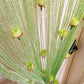Decorative Door String Curtain