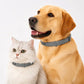 🐾 2026 Sale — Over 40,000 Sold!🛡️ Pet Flea & Tick Collar – Weatherproof & Adjustable 🌿