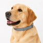 🐾 2026 Sale — Over 40,000 Sold!🛡️ Pet Flea & Tick Collar – Weatherproof & Adjustable 🌿