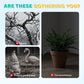 12PCS Artificial Feathered Birds with Clips