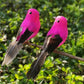 12PCS Artificial Feathered Birds with Clips
