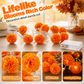 🌼 LIMITED-TIME 50% OFF! ✨ Artificial Marigold Flower LED String Light – Vivid Floral, Warm Glow, Season Decor 🎃