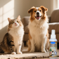 🎉 2026 Sale — Over 52,000 Sold! 🐶 No-Brush Pet Dental Spray – Instant Fresh Breath & Plaque Control 🐱