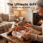 🌭 2026 Sale — Over 27,000 Sold!🔥 Playful Sausage Dog Leash – Funny & Durable 🐕