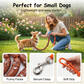 🌭 2026 Sale — Over 27,000 Sold!🔥 Playful Sausage Dog Leash – Funny & Durable 🐕