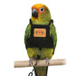 🎉 2026 Sale — Over 28,000 Sold! 🐦 Breathable Pet Bird Harness Vest – Easy Wear & Heart Design ☁️