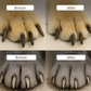 💅 2026 Sale — Over 33,000 Sold! 🐾 Pet Nail Clippers with LED Light