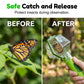 🐞 LIMITED-TIME 50% OFF! ✨ Interactive Bug Catcher for Kids – Clear Observation, Catch & Release 🌱
