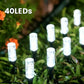 ☀️ The path to your front door should be the safest part of your home. Solar stake lights — no wiring, no electric bill, just a warm welcome every night. 🏡