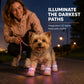 🐶 LIMITED‑TIME 50% OFF! ✨ Stylish Breathable Dog Shoes with LED Lights – Secure‑fit, Night‑visible, Paw‑protective 🌙
