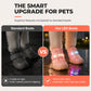 🐶 LIMITED‑TIME 50% OFF! ✨ Stylish Breathable Dog Shoes with LED Lights – Secure‑fit, Night‑visible, Paw‑protective 🌙