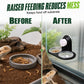 🦎 LIMITED-TIME 50% OFF! 💧 Double Reptile Feeding Ledge with Bowls – Stable Mount, Easy Clean ✨
