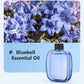 🌿 LIMITED-TIME 50% OFF! ✨ Automatic Aromatherapy Diffuser – Timed Spray, Dual Mount, Compact 🎁