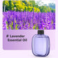 🌿 LIMITED-TIME 50% OFF! ✨ Automatic Aromatherapy Diffuser – Timed Spray, Dual Mount, Compact 🎁