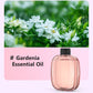🌿 LIMITED-TIME 50% OFF! ✨ Automatic Aromatherapy Diffuser – Timed Spray, Dual Mount, Compact 🎁