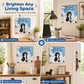 📅 LIMITED-TIME 50% OFF! 🐶 Naughty Dachshunds Dog Wall Calendar – Funny, Writeable, Decorative ✨