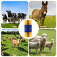 🐄 LIMITED-TIME 50% OFF! 🧶 Livestock Full Massage Grooming Scratching Brush – Soothing, Sturdy, Easy Mount ✨