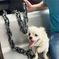 🐶 LIMITED-TIME 50% OFF! 🤣 Funny Imitates Iron Dog Chain Leash – Novelty Look, Sturdy, Comfort Grip 🚶