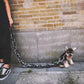 🐶 LIMITED-TIME 50% OFF! 🤣 Funny Imitates Iron Dog Chain Leash – Novelty Look, Sturdy, Comfort Grip 🚶