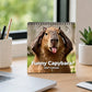 📅 LIMITED-TIME 50% OFF! ✨ Funny Capybara Calendar 2027 – Cute Monthly Art, Thick Paper, Lovely Room Decor 🐹