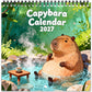 📅 LIMITED-TIME 50% OFF! ✨ Funny Capybara Calendar 2027 – Cute Monthly Art, Thick Paper, Lovely Room Decor 🐹