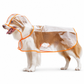🌧️ LIMITED-TIME 50% OFF! 🐾 Transparent Waterproof Dog Raincoat – Clear Hood, Adjustable Fit, Multi-size 🐶
