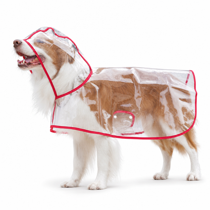 🌧️ LIMITED-TIME 50% OFF! 🐾 Transparent Waterproof Dog Raincoat – Clear Hood, Adjustable Fit, Multi-size 🐶